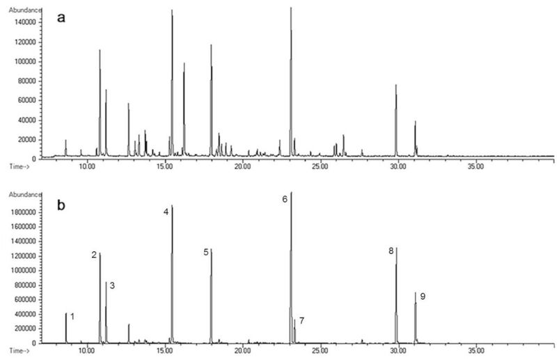 Abb. 4: Fullscan- (a) und SIM- (b) Chromatogramm einer 100 mg/l Kreosotprobe. Dargestellt sind die mit einem Masseanteil >0,2% im Kreosot vorliegenden Analyten. Legende: 1 Naphthalin, 2 2-Methylnaphthalin, 3 1 Methylnaphthalin, 4 Acenaphthen, 5 Fluoren, 6 Phenanthren, 7 Anthracen, 8 Fluoranthen, 9 Pyren (Bild: BAuA/Uni Erlangen-Nürnberg)