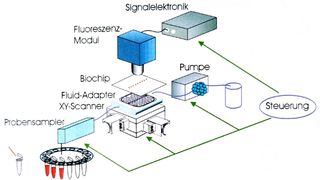 Abb. 1: Biochips – Einsatzmöglichkeiten im Labor (Bild: Archiv: VCG)