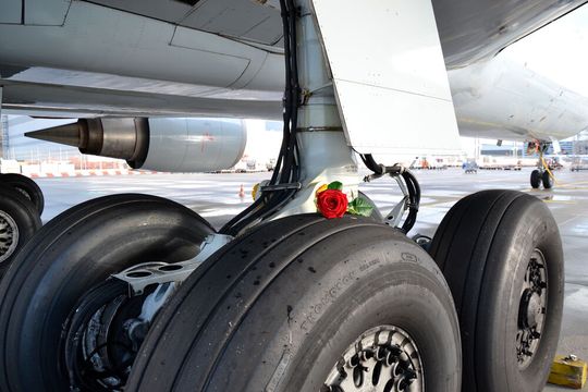 Klingt unwahrscheinlich, ist aber so: Per Luftfracht importierte Rosen haben einen siebenfach besseren „carbon footprint“ als in Europa gezüchtete Artgenossen. Klingt unwahrscheinlich, ist aber so: Per Luftfracht importierte Rosen haben einen siebenfach besseren „carbon footprint“ als in Europa gezüchtete Artgenossen.
