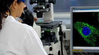 Im vergangenen Jahr wurden dank 49 neuer Medikamente und zahlreicher Zulassungserweiterungen neue Behandlungsmöglichkeiten geschaffen. (Bild: Martin Joppen/ VFA)