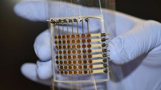 Der Prototypen eines OLED-Displays kommt komplett aus dem 3D-Drucker. (University of Minnesota)