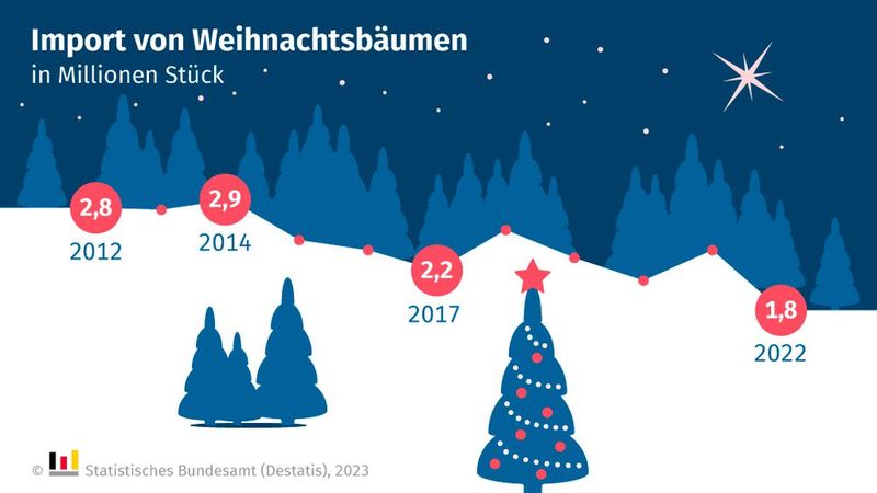 Wie das Statistische Bundesamt (Destatis) mitteilt, wurden 2022 insgesamt 1,8 Millionen frische Weihnachtsbäume nach Deutschland eingeführt, 24,5 Prozent weniger als im Vorjahr. Wie auch in den vergangenen Jahren stammte mit 83,3 Prozent der größte Teil der importierten Weihnachtsbäume aus Dänemark: 1,5 Millionen Bäume lieferte das nördliche Nachbarland. Aus Polen stammten 12,4 Prozent der frischen Weihnachtsbäume (226 100), aus den Niederlanden 4,1 Prozent (74 500). (Bild: Destatis)