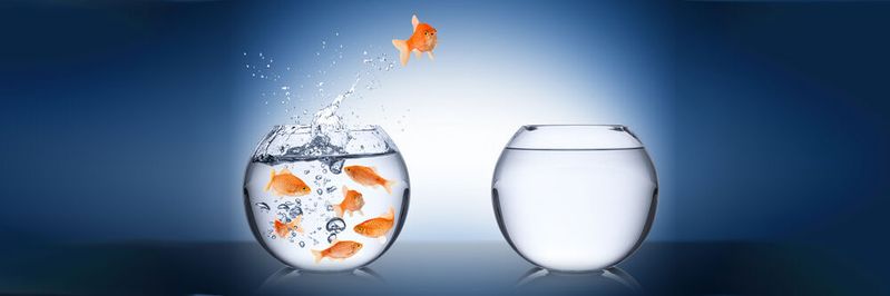 Unter IT-Fachkräften ist die Wechselbereitschaft in einen neuen Job insgesamt hoch. Unter IT-Fachkräften ist die Wechselbereitschaft in einen neuen Job insgesamt hoch.