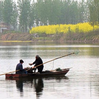 Fischer am Shaying-Fluss in China. Das Verständnis von Vielfalt und Zusammensetzung von Fischgemeinschaften sowie der menschlichen Einflüsse darauf ist nicht nur aus wissenschaftlicher Sicht wichtig, sondern auch wirtschaftlich und kulturell relevant, da Fische und Fischerei in vielen Flusssystemen ökonomisch wichtig sind.  (Bild: Florian Altermatt, UZH/Eawag)