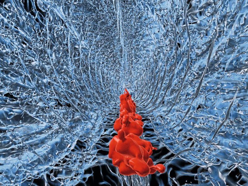 In dieser Aufnahme befindet man sich scheinbar in einem Blutgefäss des Zebrafisch-Embryos. Man sieht das umliegende Weichgewebe sowie Ansammlungen von Nanopartikeln (rot), die von Immunzellen (Makrophagen) aufgenommen wurden. (Universität Basel, Jan Bolten)