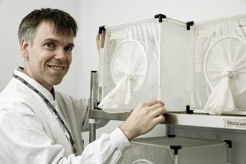 Luke Alphey nominiert für den Europäischen Erfinderpreis 2015 in der Kategorie Forschung (Bild: Europäisches Patentamt, EPA)