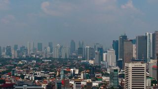 A study suggests that air pollution exposure, both during pregnancy and early childhood, can have lasting effects on the brain’s white matter.  (Source: free licensed)