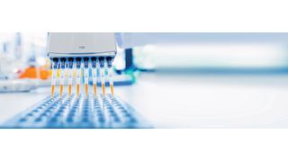 Tipps zum Pipettieren im Labor gab es beim Online-Forum Liquid Handling am 28. Februar 2023 (Symbolbild). (Bild: eplisterra - stock.adobe.com)
