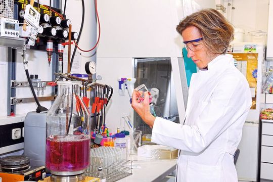 CAU-Professorin Ruth Schmitz-Streit charakterisierte gemeinsam mit internationalen Kollegen das bislang unzureichend beschriebene Archaeen-Vorkommen im menschlichen Darm. CAU-Professorin Ruth Schmitz-Streit charakterisierte gemeinsam mit internationalen Kollegen das bislang unzureichend beschriebene Archaeen-Vorkommen im menschlichen Darm.