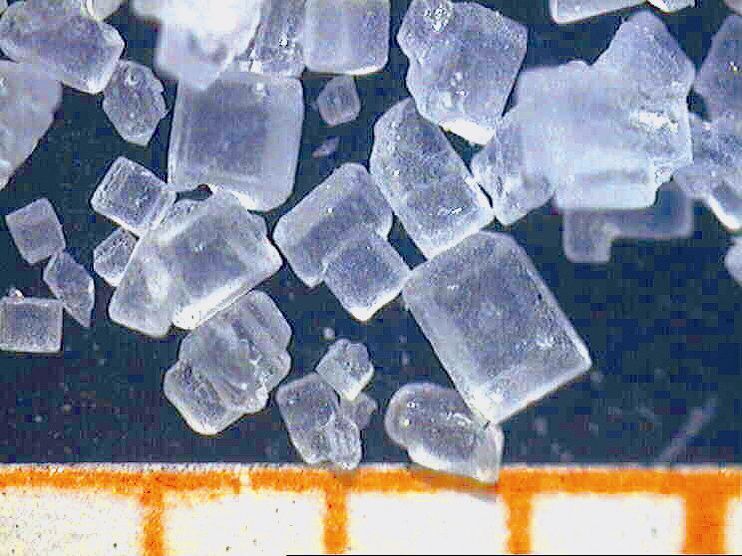 Typical sugar crystals (Archiv: Vogel Business Media)