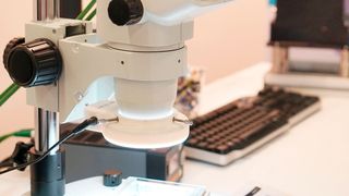 Das latenzarme 3D-Live-System besteht aus einem Kamerasystem und einem 3D-Monitor. Im Monitor findet die 3D-Bildverarbeitung statt.  (Bild: Solectrix)