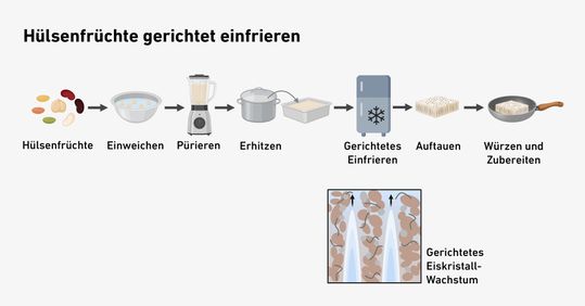 Auch in der heimischen Küche möglich: die Gefrierstrukturierung.(Bild:  Bach A, Perler E et al. NPJ Science of Food 2026, verändert)