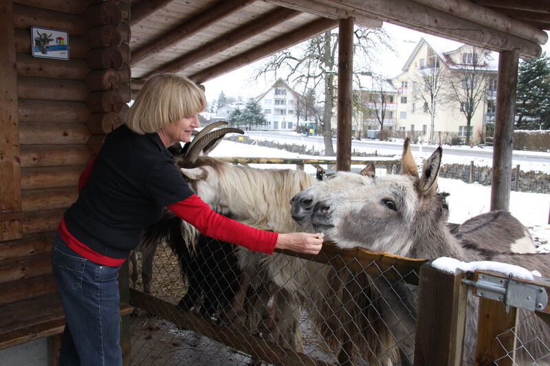 Ursula Landtwing mit ihrem Hobby: «Wir haben vier Esel und zwei Walliser Schwarzhalsgeise, das sind unsere Glücksbringer.»  (Archiv: Vogel Business Media)