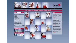 Die neue Website von Vitlab. (Archiv: Vogel Business Media)
