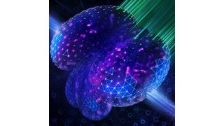 Fischherz in einer Lichtfeldmikroskopie-Aufnahme des EMBL. (Bild: EMBL)