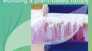 Das Fraunhofer WKI entwickelt biobasierte Klebstoffe auf Basis nachwachsender Rohstoffe und biogener Reststoffe. (Bild: Fraunhofer WKI)