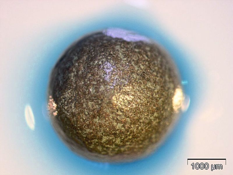Metallische Hohlkugel mit Pilzenzymen. Die Enzymreaktion (blaue Corona) ist mit einem Farbstoff sichtbar gemacht.  (TU Dresden)