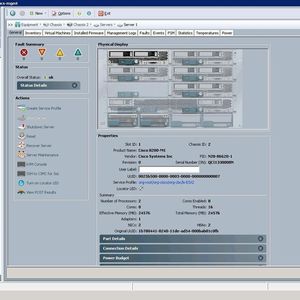 Cisco bündel in UCS die Serversystem mit der Netzwerktechnik. Die Verwaltung erfolgt über den Unified Compute System Manager.
