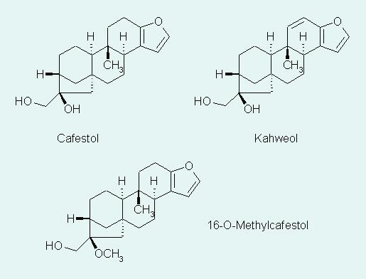 Abb. 2 Strukturen der in Kaffee vorkommenden Diterpenalkohole Cafestol, Kahweol und 16-O-Methylcafestol. (Archiv: Vogel Business Media)