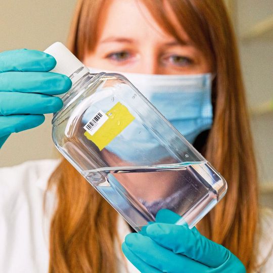 Beispiel einer Trinkwasseranalyse Beispiel einer Trinkwasseranalyse