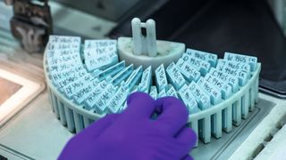 Die DNA-Extraktion aus FFPE-Proben soll mit einem neuen Kit von Bio-Echo Life Sciences einfacher werden. (Bild: © watchara – stock.adobe.com)