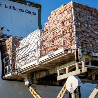 Durch die Möglichkeit der zeitlich verzögerten Gestellung kann Lufthansa Cargo die Fracht deutlich früher an die Spedition herausgeben. (Bild: Lufthansa Cargo)