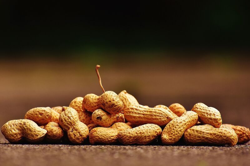 Platz 2: Bestimmte Nüsse  Die Allergie gegen Erdnüsse oder andere Nüsse ist für 8 % der Befragten ein Problem. (Bild: pixino (CC0))