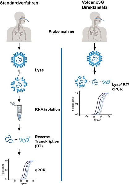 Abb. 3: Workflow des vereinfachten Volcano-3G- Direktansatz im Vergleich zum Standardverfahren (Bild: Universität Konstanz)