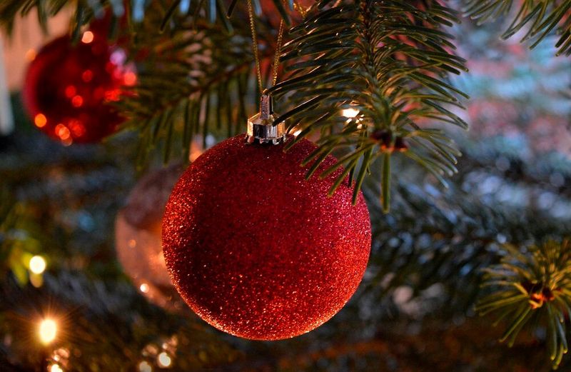 Ungefähr 23 bis 25 Millionen Weihnachtsbäume stehen jedes Jahr in deutschen Wohnzimmern. (Bild:  frei lizenziert /  Pixabay)