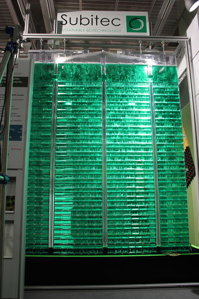 Grün: Für die wirtschaftliche Primärproduktion von wertstoffhaltiger Algenbiomasse entwickelte das Fraunhofer Institut einen preiswerten Plattenreaktor, der nach dem Prinzip eines Airlift-Reaktors funktioniert. (Bild: PROCESS)