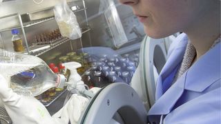 Schulung und Training sind wichtig, damit die Mitarbeiter im Umgang mit den Isolatoren geübt sind, wie hier im Labor Sterilität des SGS Institut Fresenius. (Bild: SGS Group)