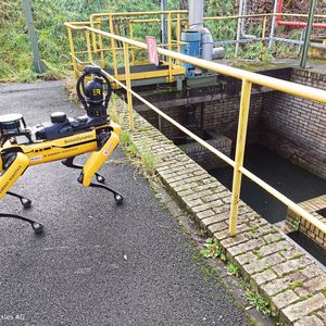 Zum Einsatz kommt der vierbeinige mobile Roboter „Spot“ von Boston Dynamics.(Bild:  Evonik)