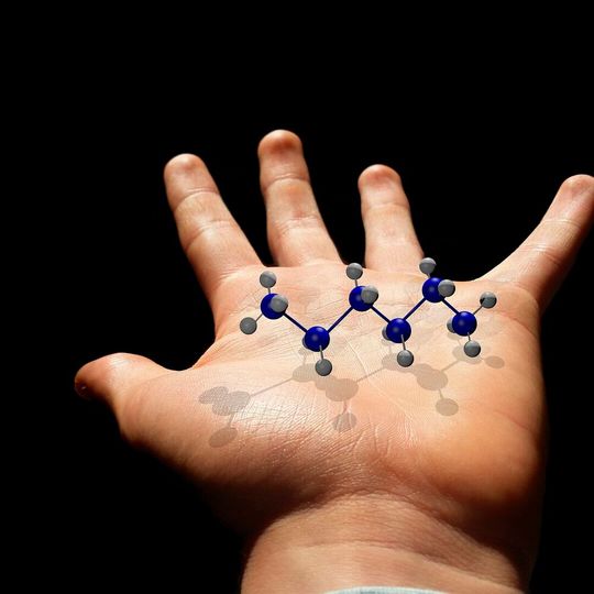 Wissenschaftler haben eine einfache und robuste Methode entwickelt, mit der sich die Indol-Gruppe gezielt in andere Strukturelemente umwandeln lässt. Wissenschaftler haben eine einfache und robuste Methode entwickelt, mit der sich die Indol-Gruppe gezielt in andere Strukturelemente umwandeln lässt.