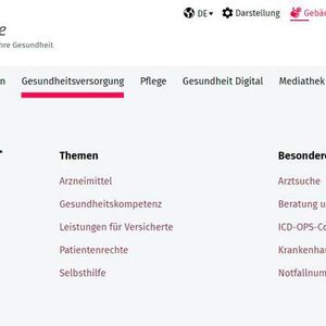 Thema Gesundheitsversorgung(©  www.gesund.bund.de)