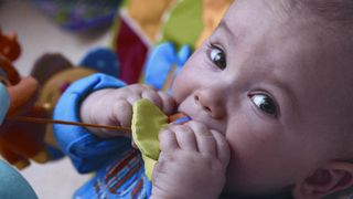 GC/MS-Methoden helfen dabei, die Belastung von Kleinkindern durch Weichmacher wie Phtalate zu bestimmen. (Bilder: PerkinElmer) (Archiv: Vogel Business Media)