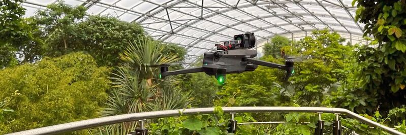 Eine Drohne fliegt durch die Büsche des Masoala-Regenwaldes im Zoo Zürich.