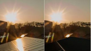 Links abgeblitzt, rechts voll reingeganen! Für letzteren Effekt sorgt eine Antireflex-Folie mit Nano- und Mikrostrukturen, die Rosenblüten-Oberflächen zum Vorbild hat. Solarzellen, wie hier, werden dadurch effizienter. ( Karlsruher Institut für Technologie (KIT))