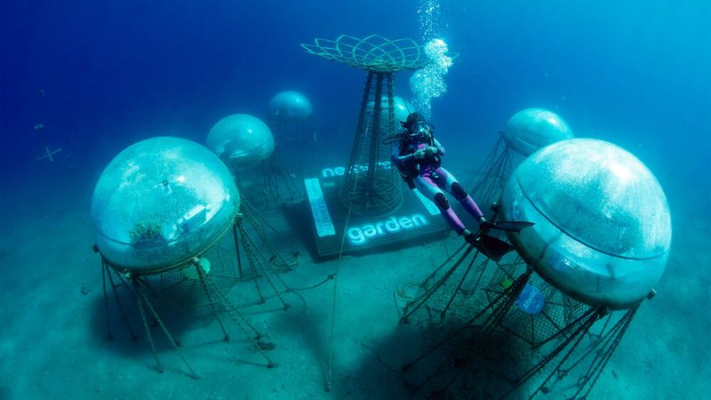 Platz 9: Pflanzen im Unterwassergewächshaus wachsen lassen – das ist das Ziel von Nemo's Garden. Und das junge Unternehmen hat schon vielerlei Pflanzen geerntet. Um die Biosphäre kommerziell nutzbar zu machen, setzen die Ingenieure jetzt auf den Digitalen Zwilling, mit dem virtuell getestet und optimiert werden kann. (Bild: Siemens Digital Industries Software)