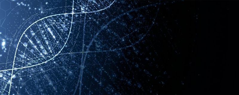 Abb.1: Im Labor fallen Unmengen von Daten an, die zwischen verschiedenen Geräten sowie dem Anwender selbst hin und her kommuniziert werden müssen.(Bild:  ©kras99 - stock.adobe.com)