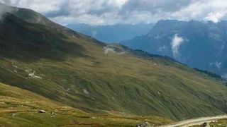 Lebensraum des Steinpilzes auf 2440 m.ü.M. (Artemis Treindl/ETH Zürich)