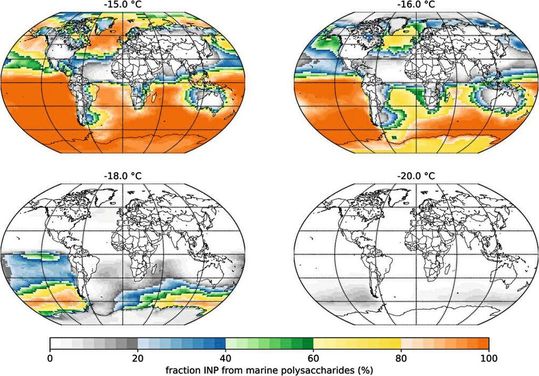 Die Simulationen zeigten, dass bei -15 bis -16 °C die Mehrfachzucker über gigantischen Flächen der Ozeane in der sauberen Südhemisphäre die wohl bedeutendsten Eiskeime sind. Die Grafik zeigt den prozentualen Anteil der modellierten marinen INPs auf Polysaccharidbasis an der Summe der modellierten INPs (Mineralstaub + marine Polysaccharide) in der untersten Modellschicht für verschiedene Temperaturen. (Bild:  Roland Schrödner, TROPOS)