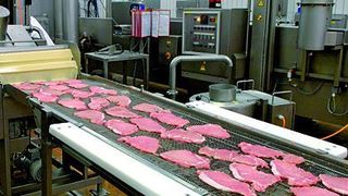Bild 1: Fördertechnik mit Gurten, Modulbändern, Drahtgeflechtbändern oder Scharnierplattenbändern kann mehr leisten als den reinen Warentransport: In der Lebensmittelbranche werden damit auch Aufgaben wie das Wenden und Drehen von Fleischstücken erledigt. (Archiv: Vogel Business Media)