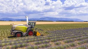 Innovation auf dem Feld und in der Fabrik: Claas nutzt moderne IoT-Strukturen, um die Produktion seiner Landmaschinen weltweit zu vernetzen und effizienter zu gestalten.

 (Bild: © iStock Sjo (2026))