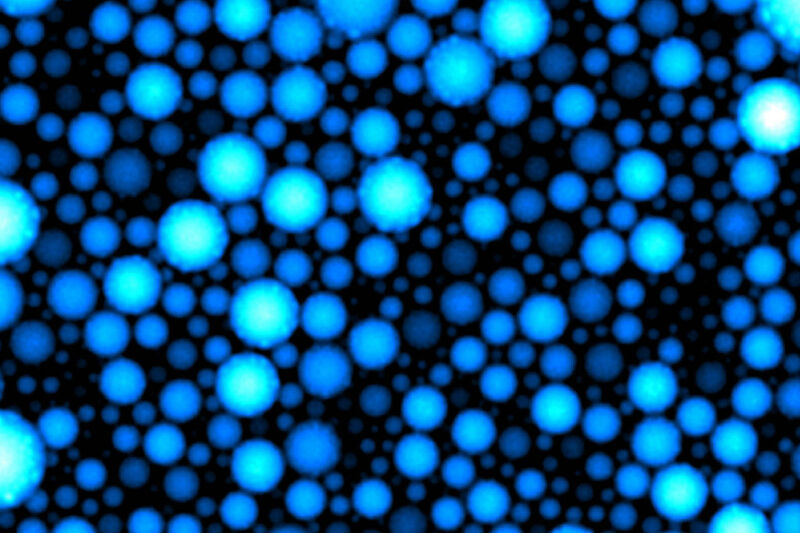 Mikrometer kleine Tröpfchen einer Emulsion bilden die Reaktionsgefäße für eine komplexe, oszillierende Reaktion (Bild: Maximilian Weitz / TUM)