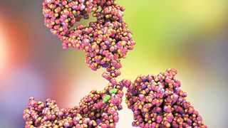 Abb. 1: Therapeutische Proteine wie Antikörper werden biotechnologisch in zumeist tierischen Zellkulturen hergestellt. (©Kateryna_Kon - stock.adobe.com)