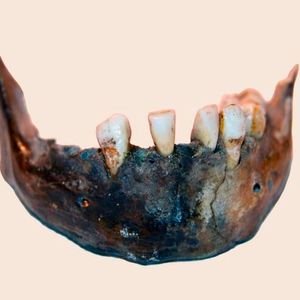 Mandible of a hunter-gatherer woman who lived 7900 years ago at Matjes River Rockshelter in the Western Cape, South Africa,  for whom a genome was reconstructed.(Source:  Helena Malmström)