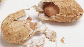  (Archiv: Vogel Business Media)