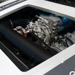 (SP-X/Max Friedhoff)