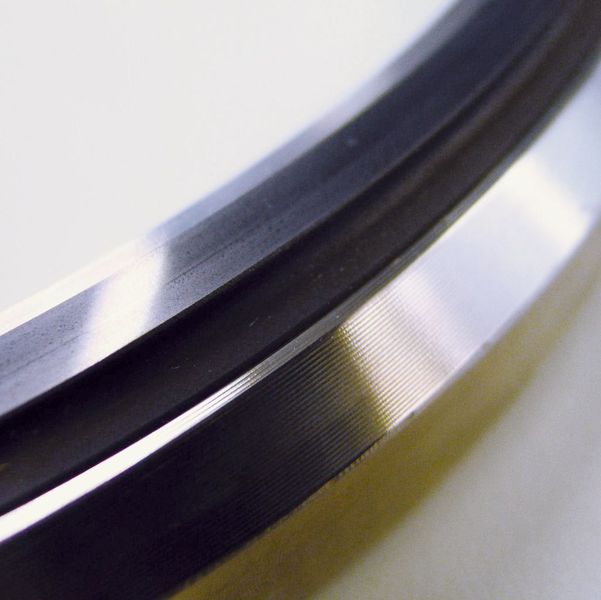 Gleitring  (Bild: EagleBurgmann)