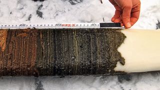 Bohrkern aus dem Crawford Lake: In dem kanadischen See verbinden sich bei Wärme Kalzium- und Karbonat-Ionen aus den Felsen im Wasser und kristallisieren zu kleinen Kalzitkristallen aus. Diese sinken langsam ab und bilden jeden Sommer eine weiße Schicht am Grund des Sees. Dadurch können Forscher genau feststellen, welches Jahr sie betrachten. Um das Jahr 1950 herum steigt der Anteil an Plutoniumteilchen in den Sedimenten deutlich an – ein klarer Hinweis auf menschliche Einflüsse und damit auf das Anthropozän. (Bild: Tim Patterson)